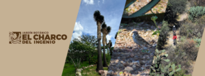 Día Nacional de los Jardines Botánicos